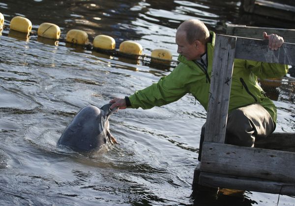 Vladimir Putin, the Animal Lover Vladimir Putin, the Animal Lover - Sputnik International