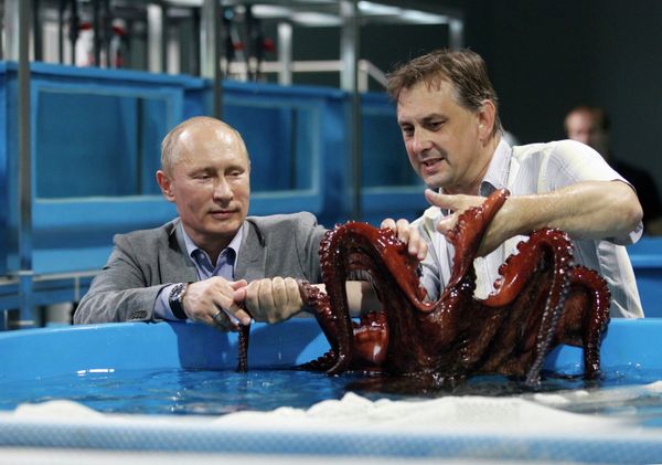 Vladimir Putin, the Animal Lover Vladimir Putin, the Animal Lover - Sputnik International