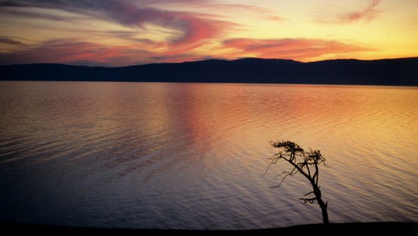 The Russian government will spend $8 million on the protection of Lake Baikal and its surrounding territory - Sputnik International