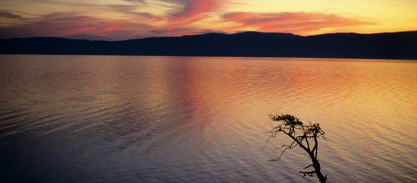 The Russian government will spend $8 million on the protection of Lake Baikal and its surrounding territory The Russian government will spend $8 million on the protection of Lake Baikal and its surrounding territory - Sputnik International