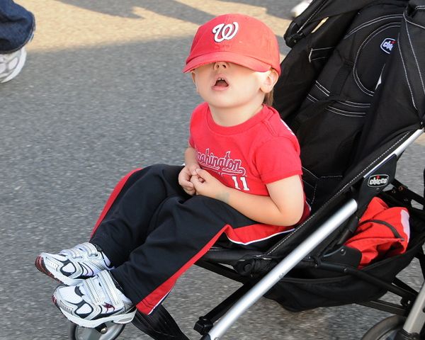 ‘Natitude’ Brings Rare Unity to US Capital’    - Sputnik International