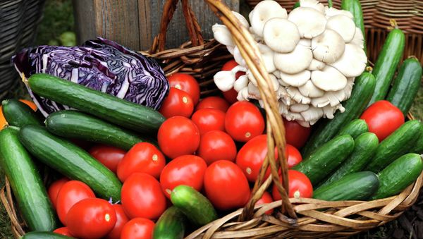 Russian Police Detain Chinese Growing Toxic Vegetables - Sputnik International