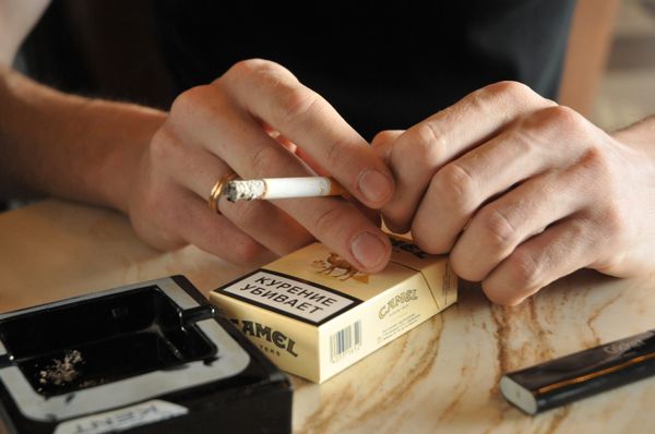WHO Should Butt Out of Russia’s Cigarette Biz – Health Official - Sputnik International