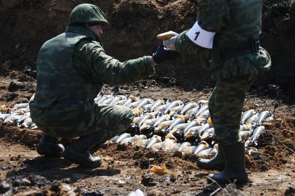 Russia Plans to Dispose of 3.5Bln Ammo Rounds, 140,000 Missiles by 2020 - Sputnik International