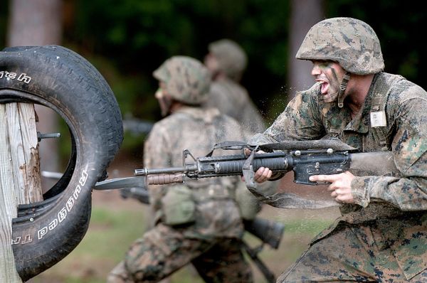 Debate zinger highlights US Military bayonet use - Sputnik International