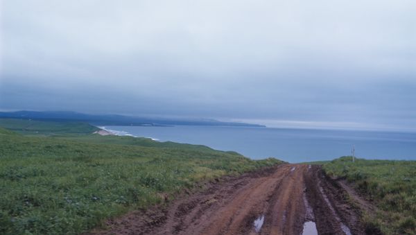 Bering Island - Sputnik International