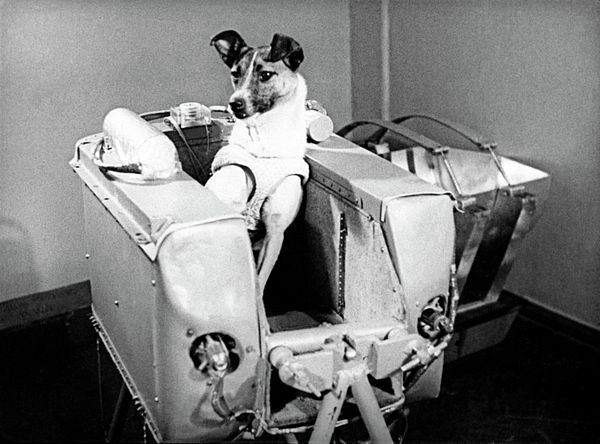 The World’s First Space Explorers  - Sputnik International