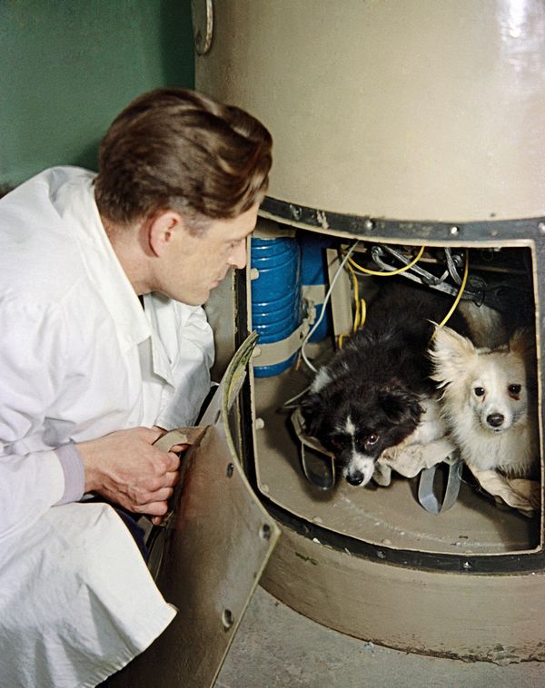 The World’s First Space Explorers  - Sputnik International