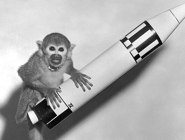 The World’s First Space Explorers  - Sputnik International