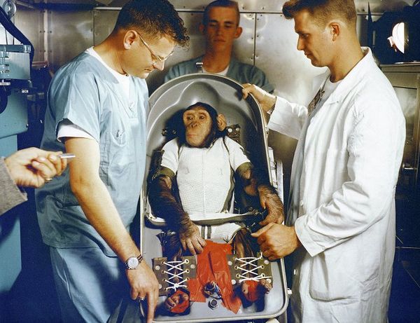 The World’s First Space Explorers  - Sputnik International