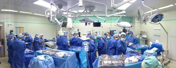 US Surgeons Successfully Separate Conjoined Twins         - Sputnik International