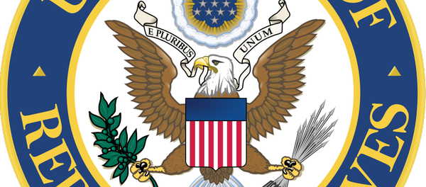 Non-official seal of the United States House of Representatives, the lower house of the United States Congress - Sputnik International