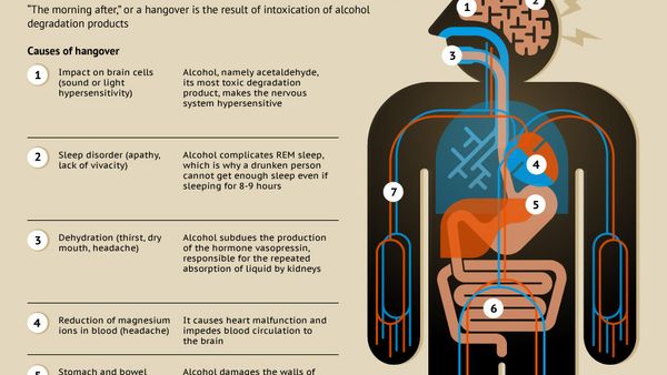 Hangover-Free Merrymaking - Sputnik International