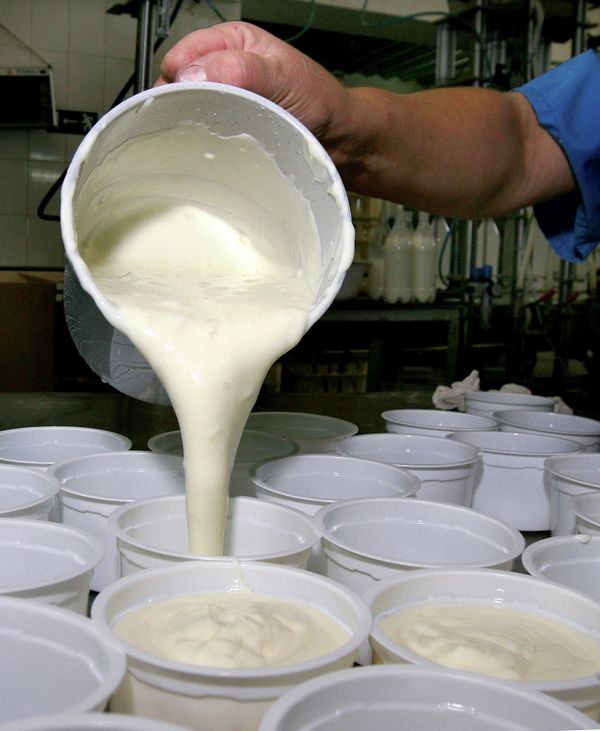 Russia’s Rosselkhoznadzor allowed Serbia to export its dairy products to the countries of the Customs Union of Belarus, Kazakhstan and Russia - Sputnik International