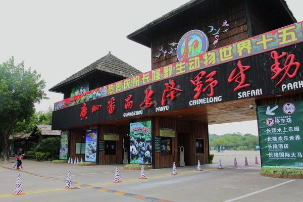 Animals and Birds at the Chimelong Safari Park in China - Sputnik International