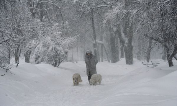 Heavy Snowfall Blankets Moscow - Sputnik International