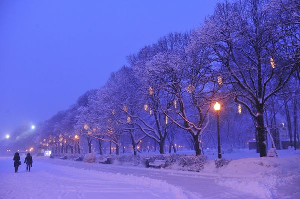 Heavy Snowfall Blankets Moscow - Sputnik International
