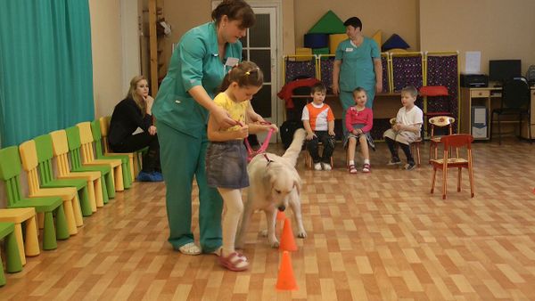 Dog Heroes Dog Heroes - Sputnik International
