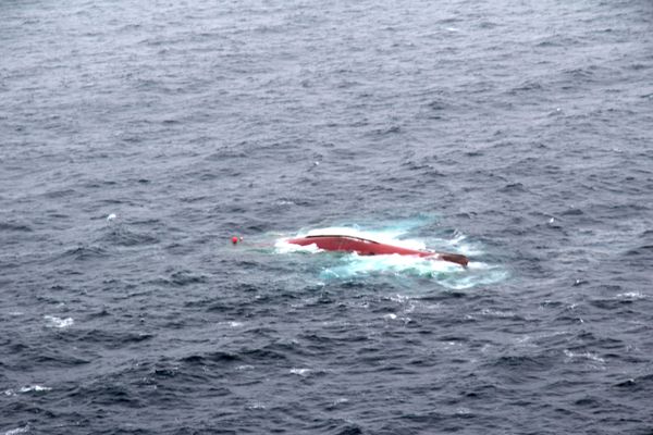 Chance-101 fishing vessel - Sputnik International