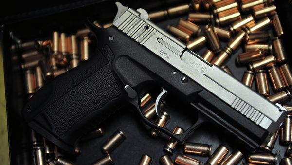 In the United States, the citizens need to own guns to protect themselves, as the country is replete with weapons. - Sputnik International