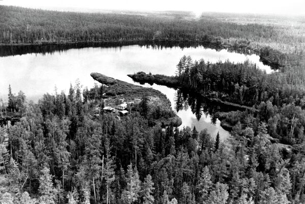 The site of Tunguska meteorite fall. Archive - Sputnik International