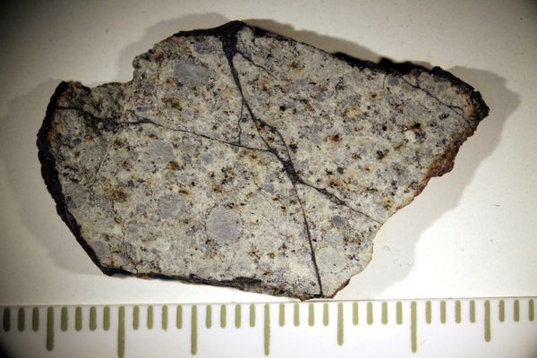 One-Kilo Meteorite Fragment Found - Sputnik International