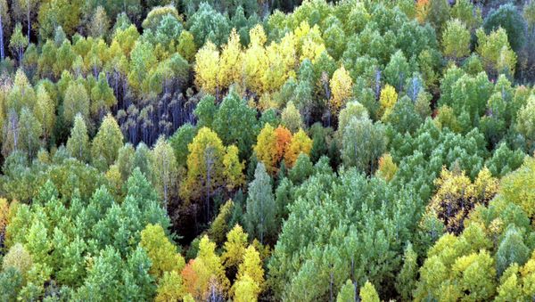 Wildlife Trust reports that with the predicted growth in housing construction, new roads and other infrastructure the Wildlife Sites are bound to remain vulnerable to further loss and damage. - Sputnik International