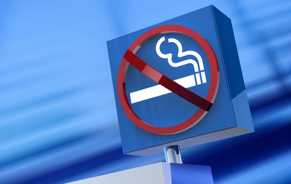 Russian Parliament Introduces Fines for Smoking in Public - Sputnik International