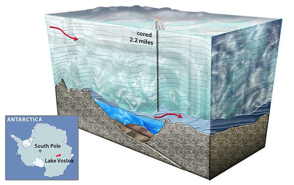 ‘Unclassified’ Life Found in Antarctic Lake - Sputnik International