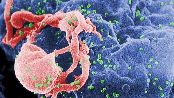 US Toddler Cured of HIV - Researchers - Sputnik International