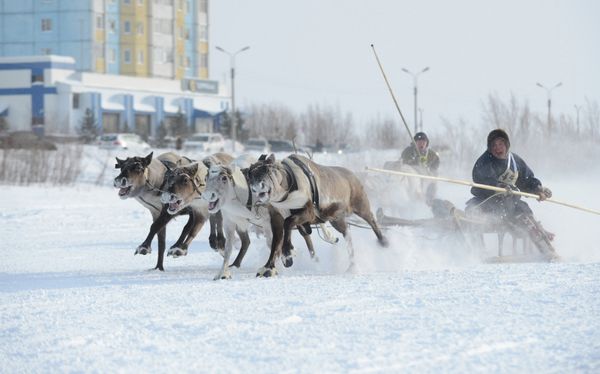 Lasso-throwing and other ethnic competitions - Sputnik International