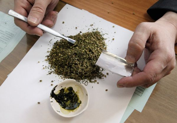 Russian Pipeline Workers Get High, Busted With Marijuana – Official - Sputnik International