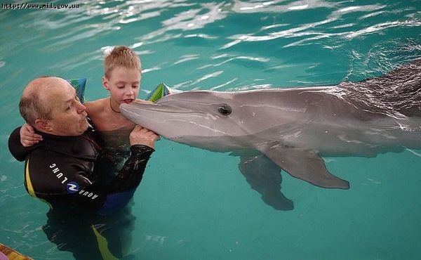 Ukraine Folds Combat Dolphin Training Program - Sputnik International