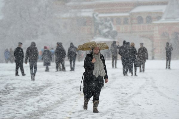 Seven Days in Photographs: March 8-15, 2013 - Sputnik International