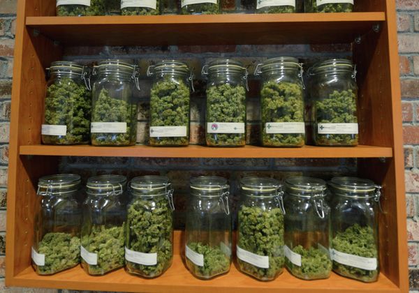 US Cannabis Capitalists Aim High With Legal Colorado Weed - Sputnik International