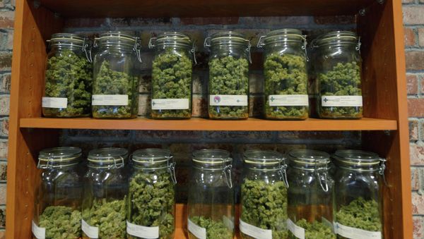 Behind the counter at the medical marijuana dispensary Denver Relief. - Sputnik International