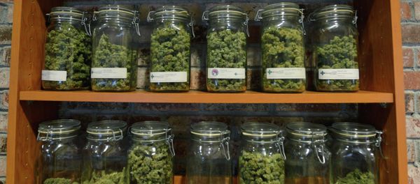 Behind the counter at the medical marijuana dispensary Denver Relief. Behind the counter at the medical marijuana dispensary Denver Relief. - Sputnik International