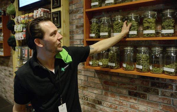 US Cannabis Capitalists Aim High With Legal Colorado Weed - Sputnik International
