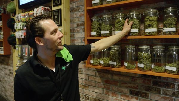 54 percent of Americans are for making marijuana legal, according to a Pew Research poll cited by CNN. Above: An employee at the medical marijuana dispensary Denver Relief explains the array of cannabis strains on sale. 54 percent of Americans are for making marijuana legal, according to a Pew Research poll cited by CNN. Above: An employee at the medical marijuana dispensary Denver Relief explains the array of cannabis strains on sale. - Sputnik International