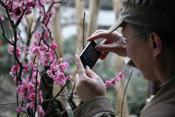Photo Tour with RIA Novosti: China - Sputnik International