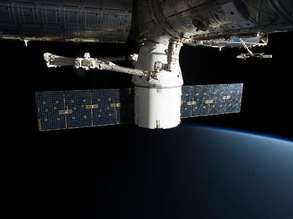 Elon Musk Tweets Pics of SpaceX's Crew Dragon, Projected to Ferry Humans to Space by December Elon Musk Tweets Pics of SpaceX's Crew Dragon, Projected to Ferry Humans to Space by December - Sputnik International
