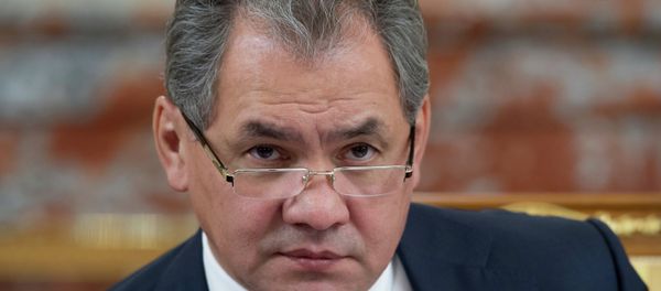 Russian Defense Minister Sergei Shoigu Russian Defense Minister Sergei Shoigu - Sputnik International