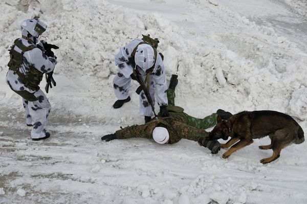 Special Police Forces Show Off in the Snow - Sputnik International