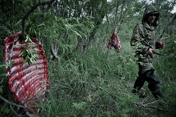 “Road to Nowhere” Photo Story, or the Life of the Even Ethnic Group - Sputnik International