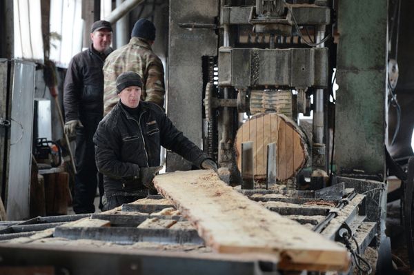 Timber Processing in Novosibirsk - Sputnik International