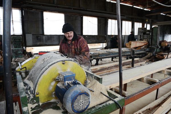 Timber Processing in Novosibirsk - Sputnik International