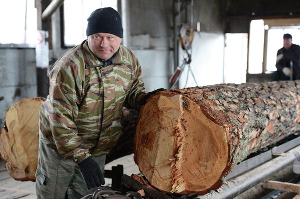 Timber Processing in Novosibirsk - Sputnik International