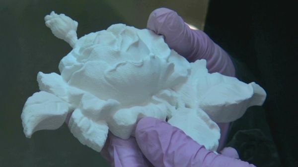 3D Printer Makes Roses in Tomsk - Sputnik International