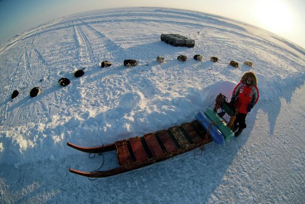 Thousands of Kilometers on Dog Sleds: Konyukhov’s New Expedition Thousands of Kilometers on Dog Sleds: Konyukhov’s New Expedition - Sputnik International