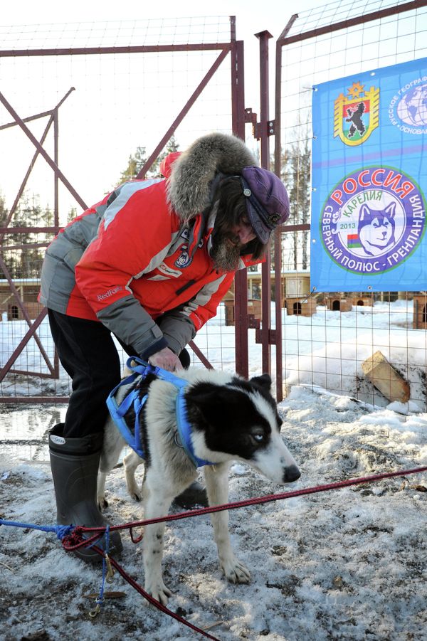 Thousands of Kilometers on Dog Sleds: Konyukhov’s New Expedition Thousands of Kilometers on Dog Sleds: Konyukhov’s New Expedition - Sputnik International